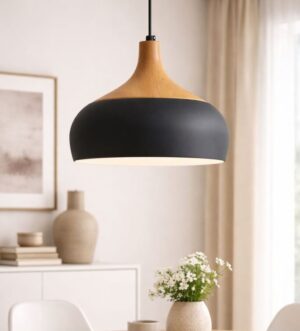 Matte Black & Wood Dome Pendant Light – Scandinavian Modern Ceiling Lamp